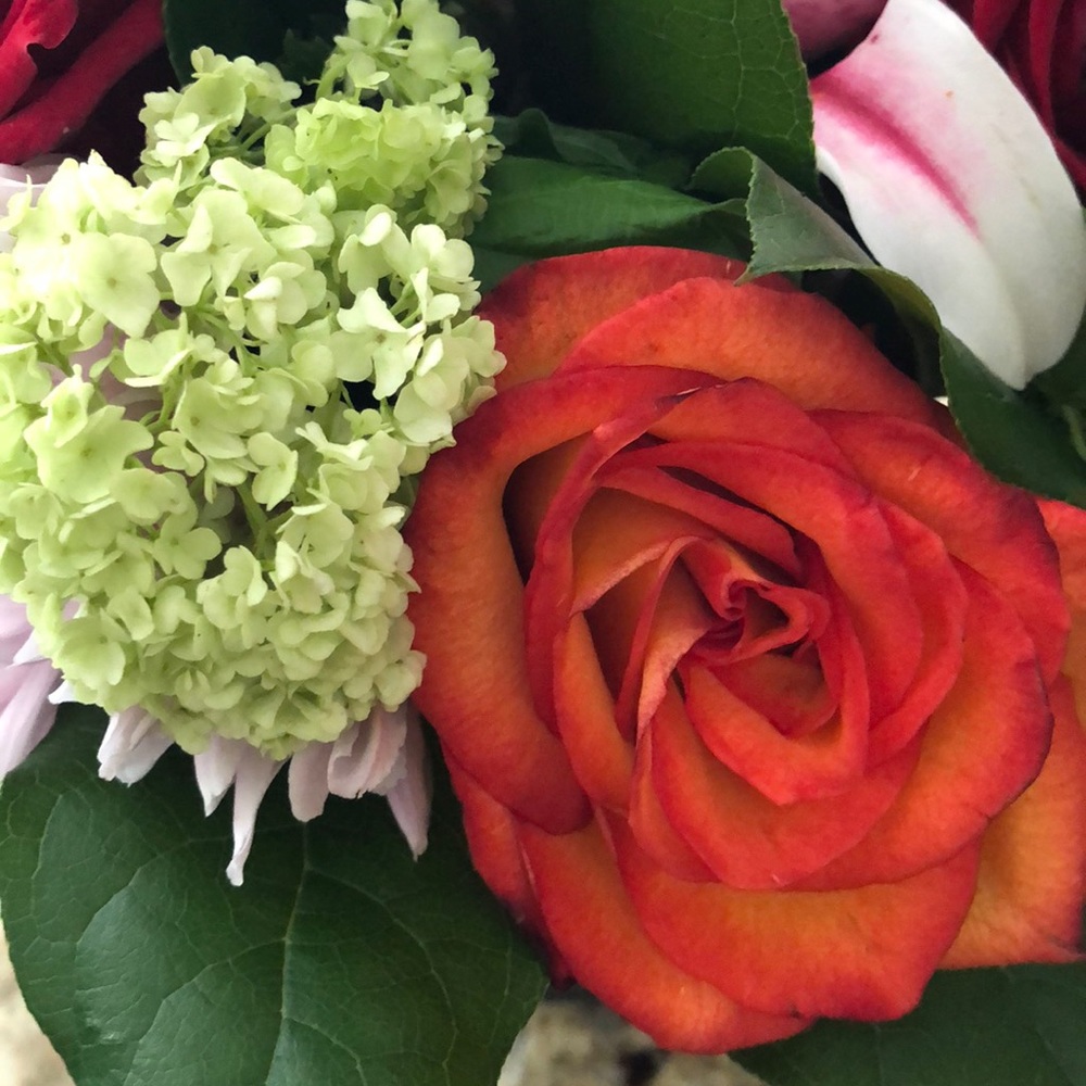 Meet your Posher, Toyia